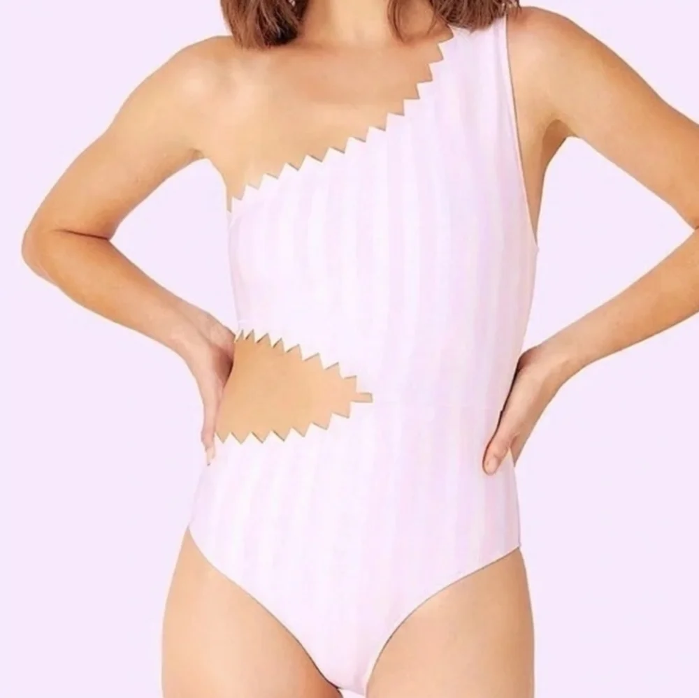 New With Tag Onia Betty Macro Stripe Cradle Pink One Piece Swimsuit NWT XS